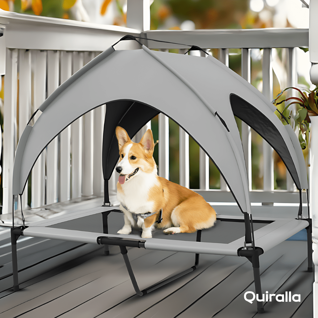 Canopy Portable Dog Camp