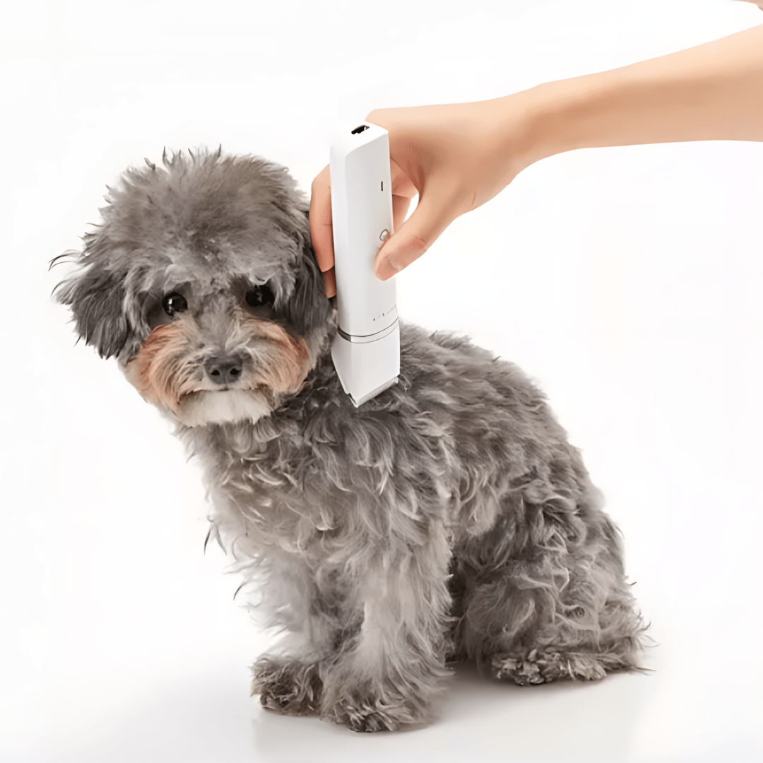 Dog Grooming Trimmer